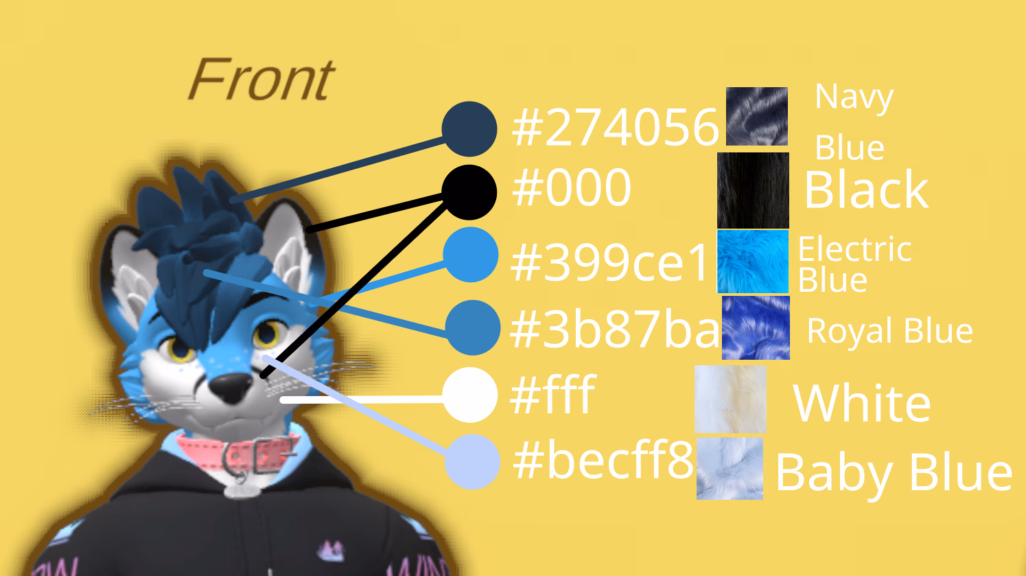 Fursona Refsheet from the front view with RGB and fur colours and RGB values and fur names for each
